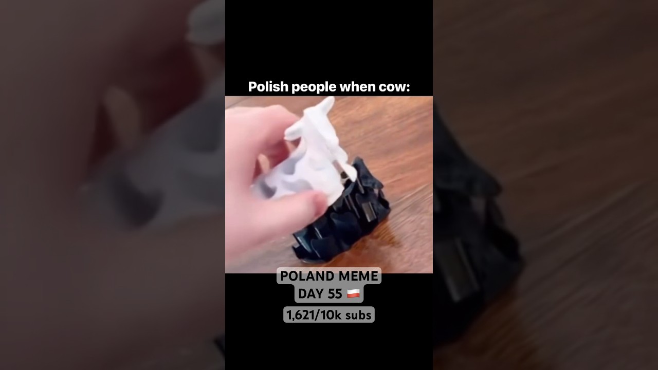 POLISH COW 🐄🇵🇱😂 