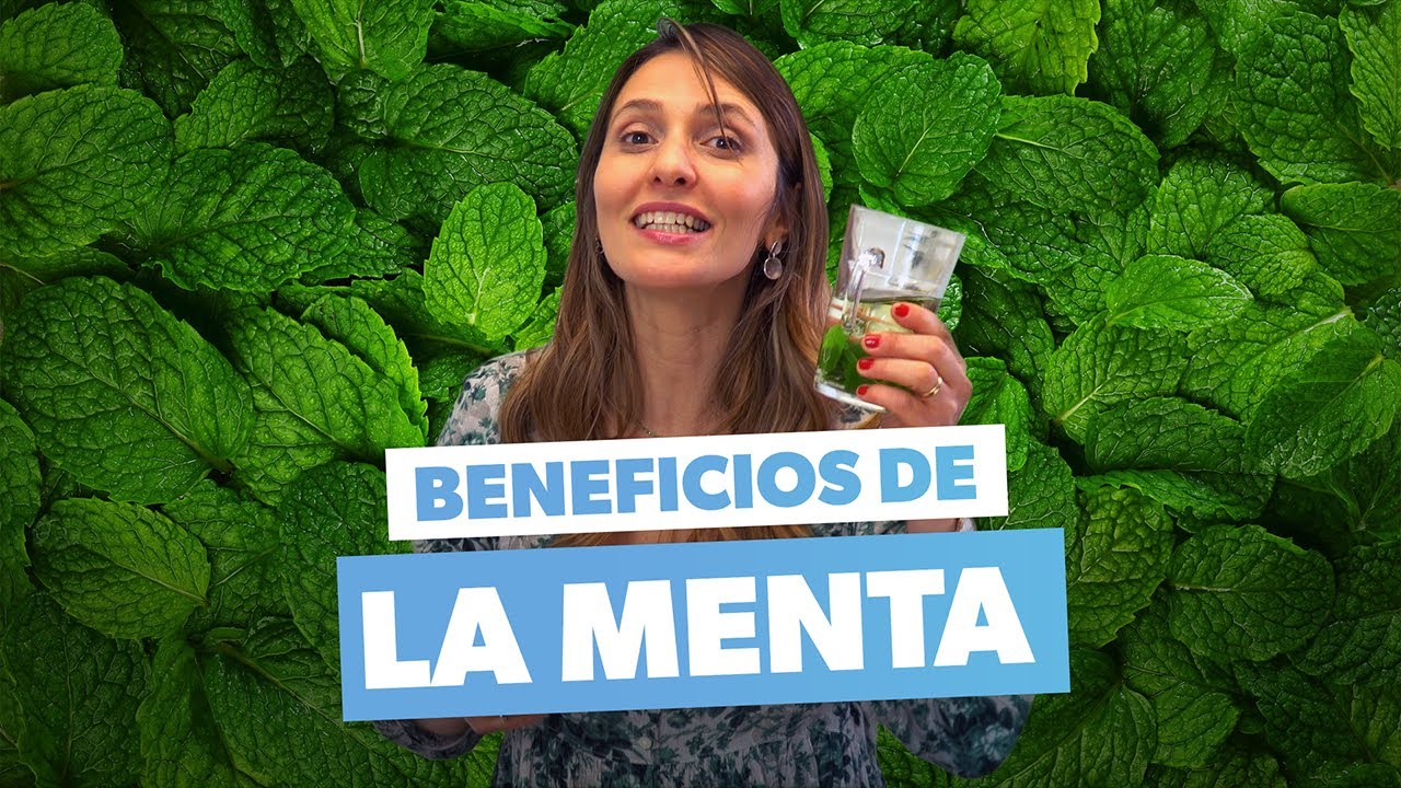 Menta: para qué sirve y cómo utilizarla
