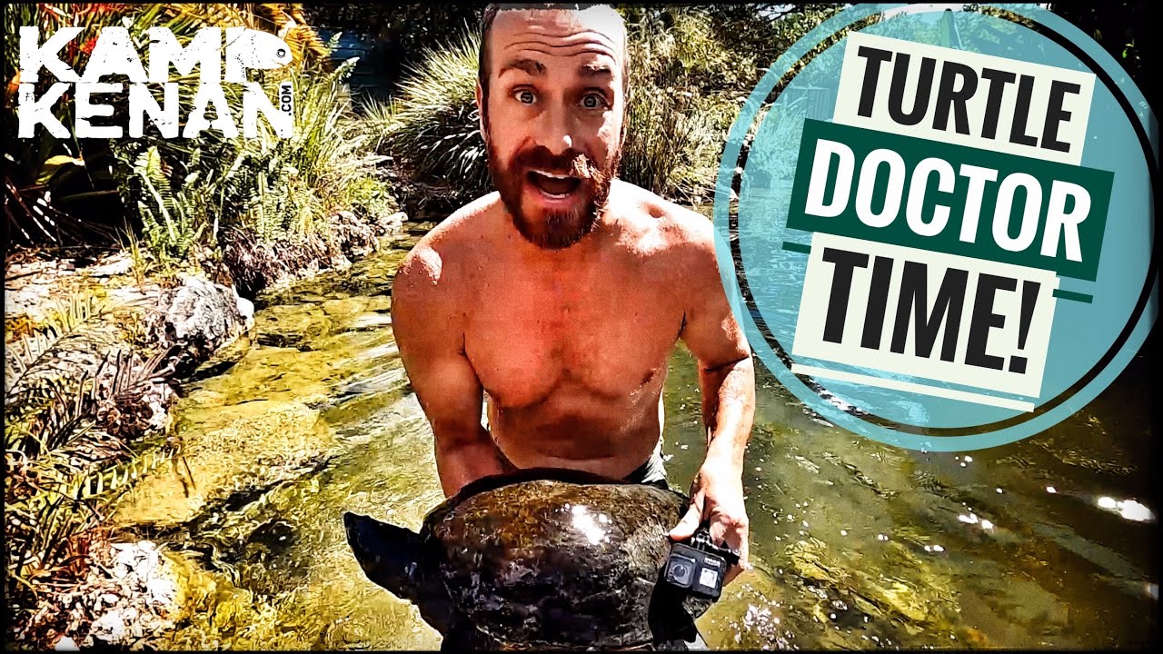 The Rec Pond Turtles need Serious Help!