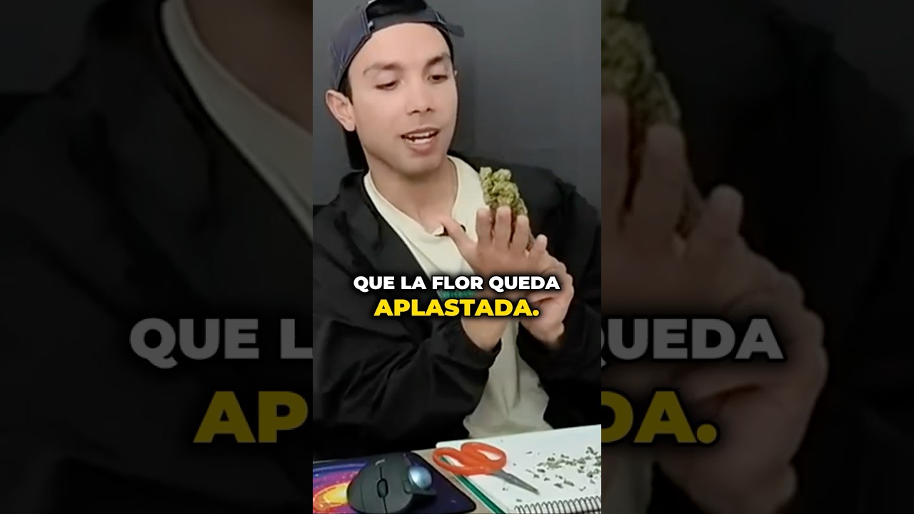 C&oacute;mo Seco mi Cosecha?