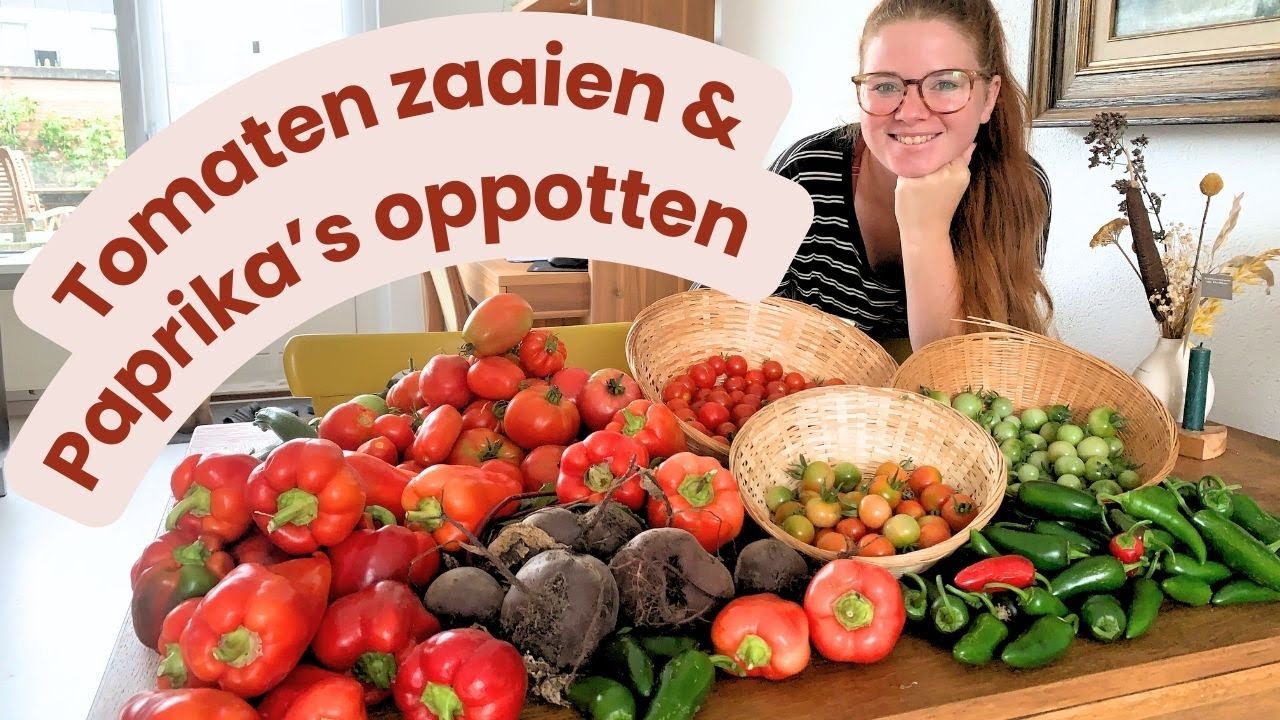 Tomaten zaaien & pepers oppotten | Dit ging niet helemaal goed :(