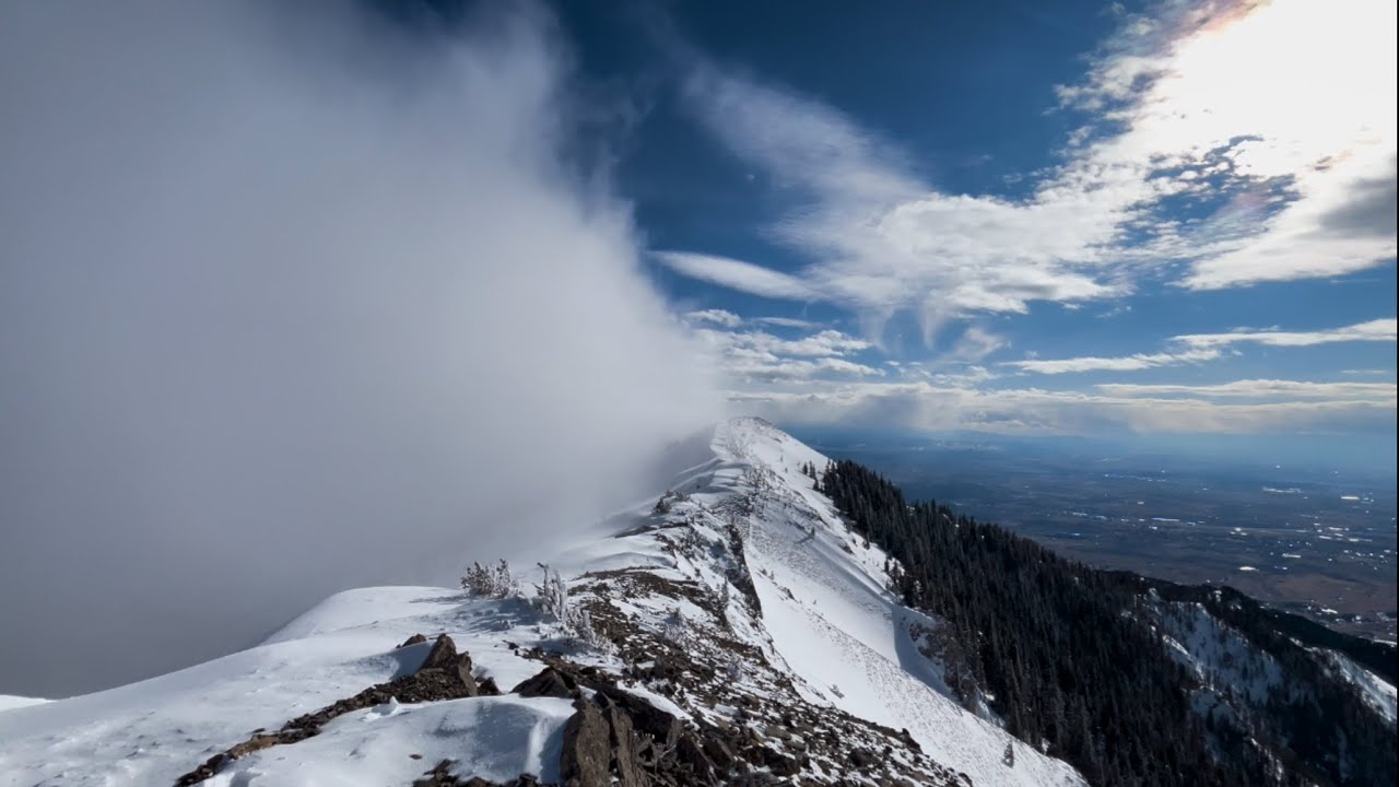 Winter Mix (Oct.-Mar.)