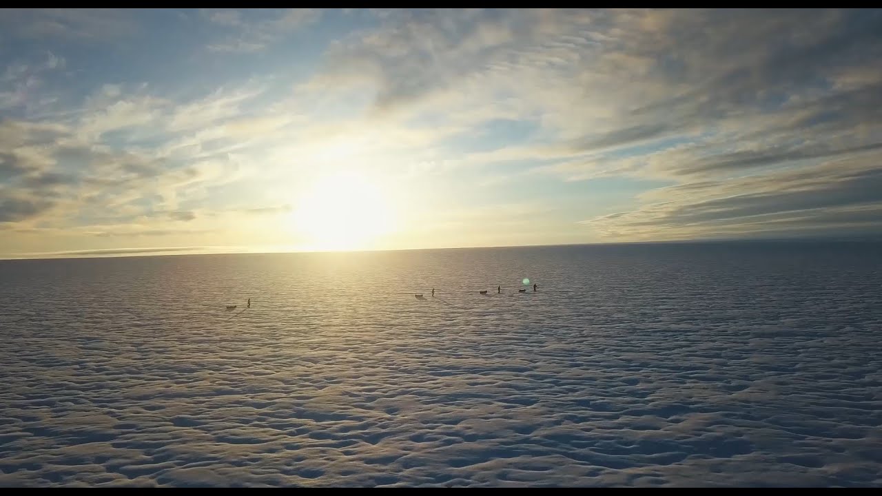 A tribute to life