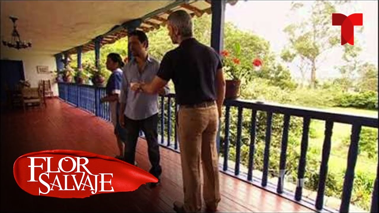 Flor Salvaje | Capítulo 86 | Telemundo