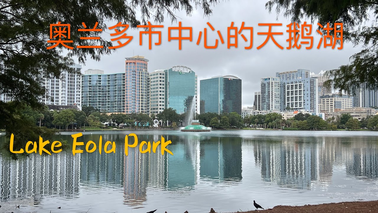 别以为奥兰多只有迪士尼 市中心的天鹅湖-伊奥拉湖公园 真的让人流连忘返  Tour  Lake Eola Park at Orlando