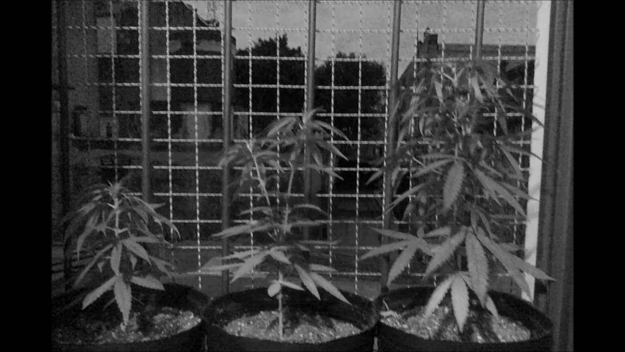 Psychedelic Trap Beat Instrumental (Prod:Lo✘I𝓐S)