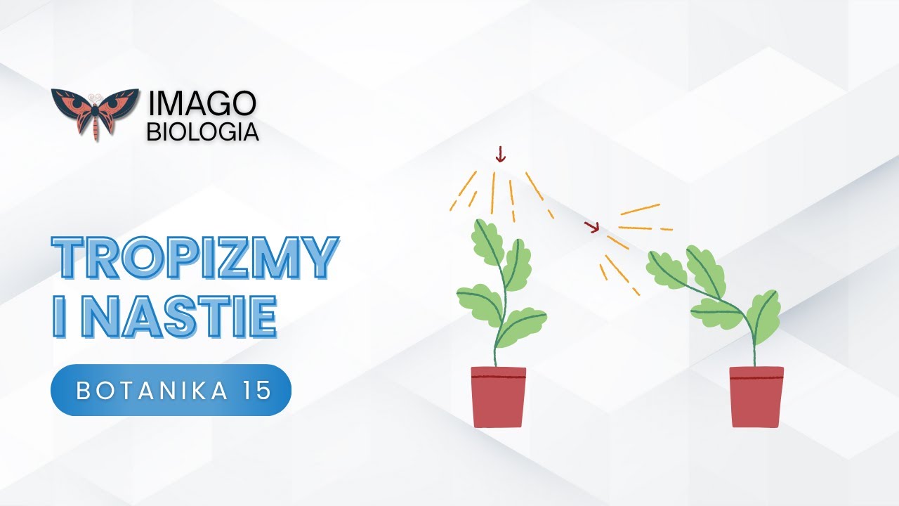 Tropizmy i nastie