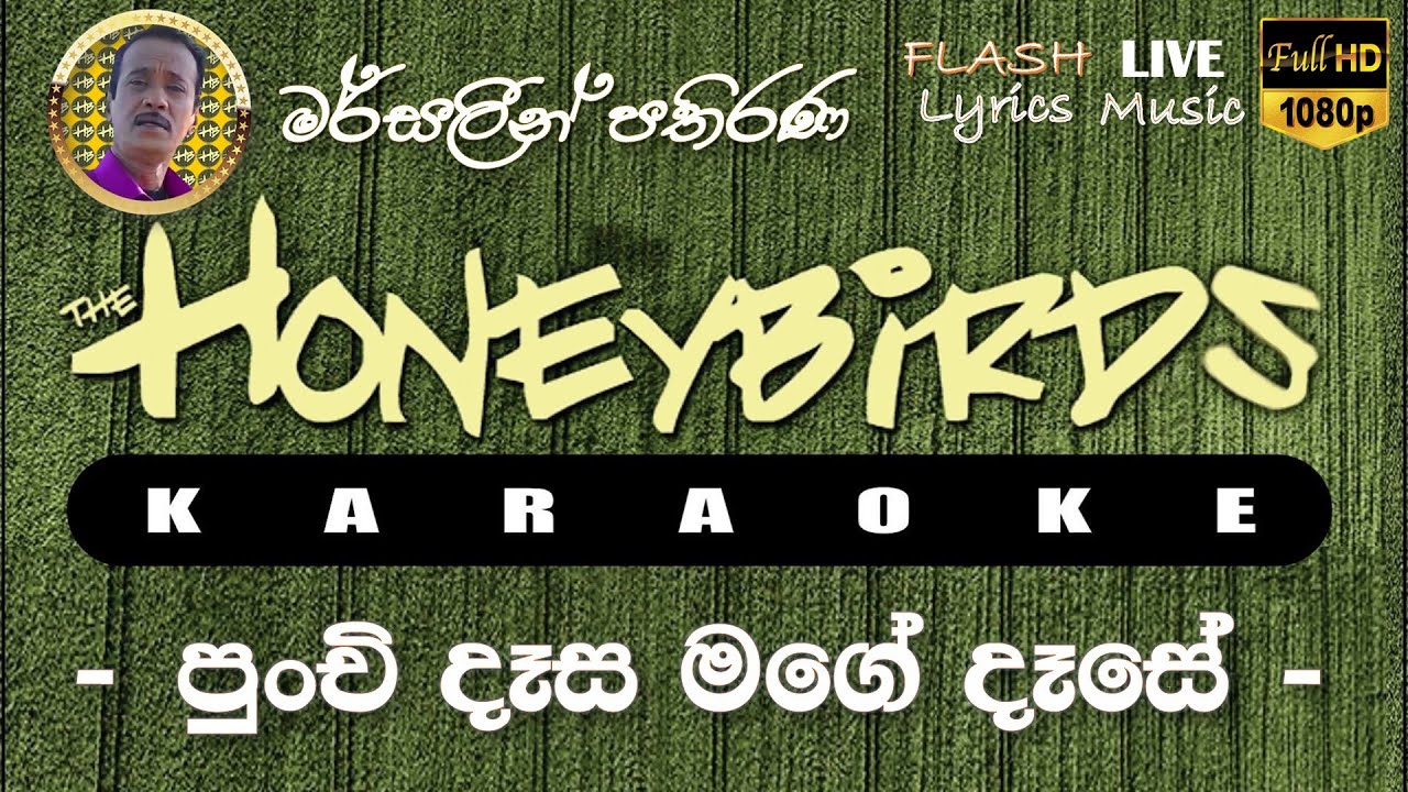Punchi Dasa Mage Dase Karaoke (Without Voice) පුංචි දෑස මගේ දෑසේ කැරෝකේ