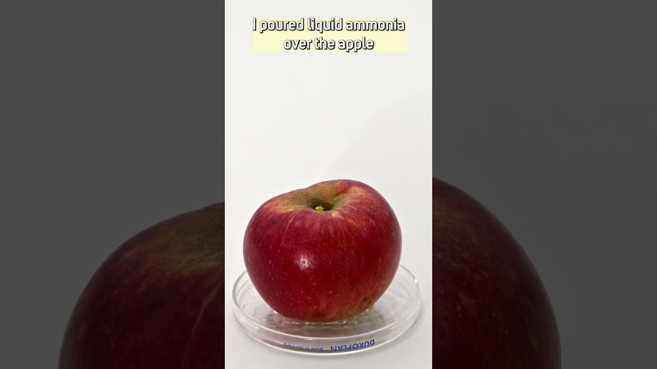 Black apple #experiment #science #chemistry #ammonia