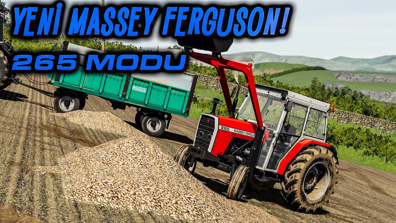 YENİ KEPÇELİ MF 265 MODUMUZ İLE PANCAR YÜKLÜYORUZ!!  | Shamrock Valley 19