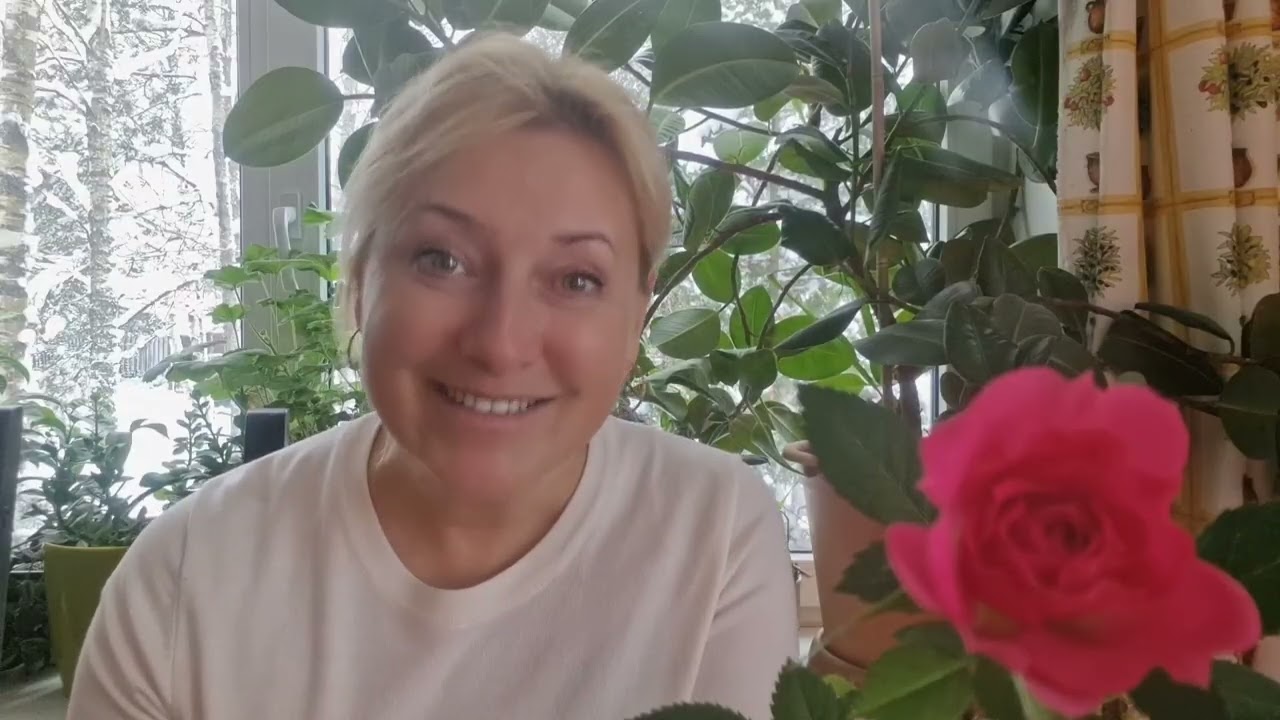 ПЕРВЫЕ ПОСАДКИ в январе!!!!!