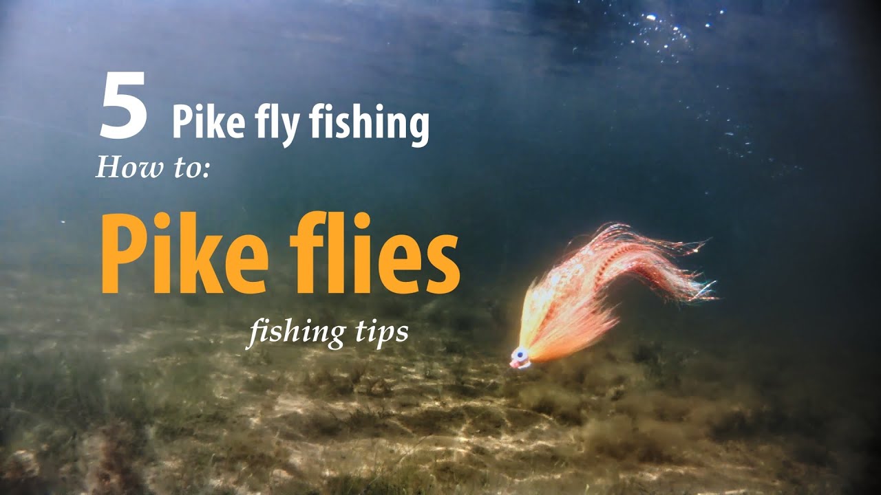 How to • Pike fly fishing • Pike flies • fishing tips