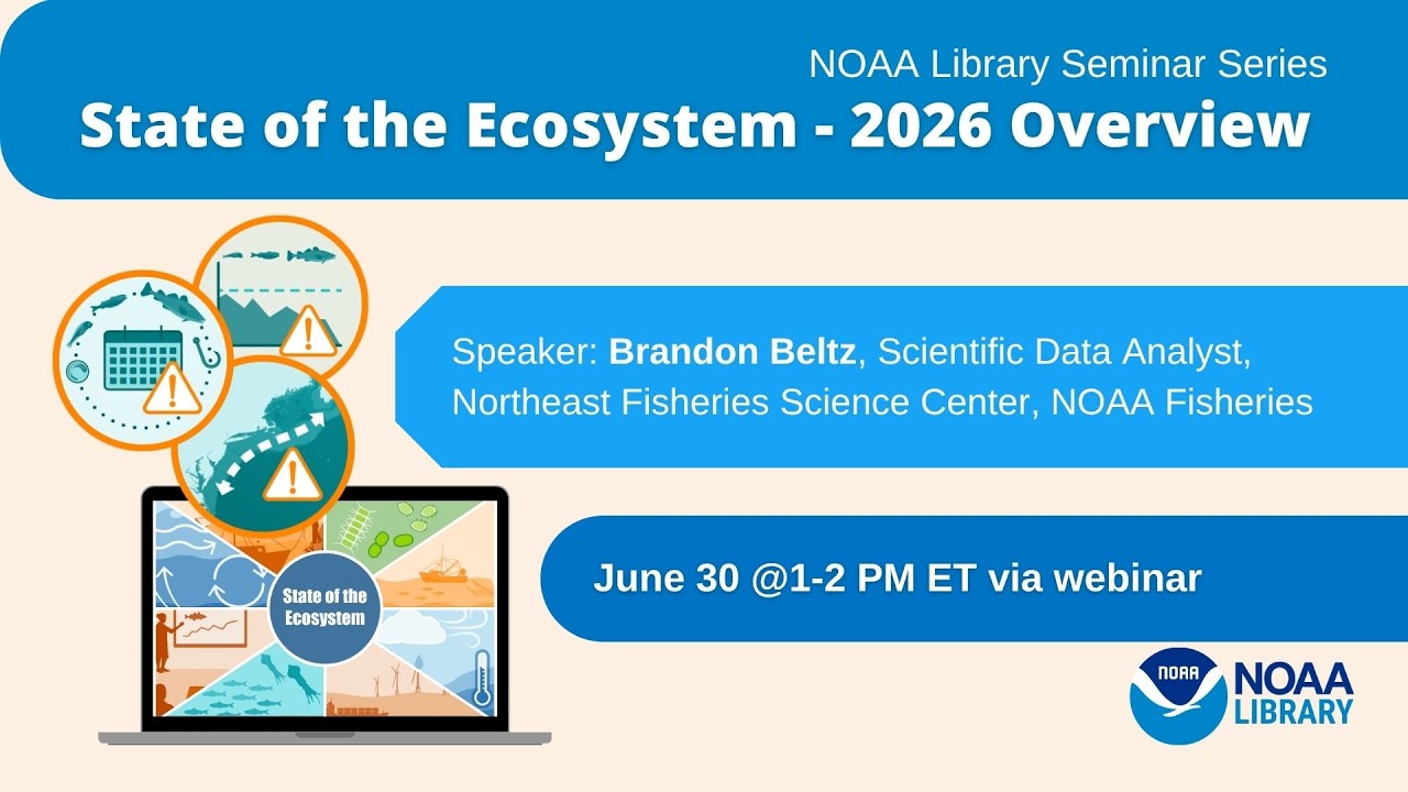 State of the Ecosystem - 2026 Overview