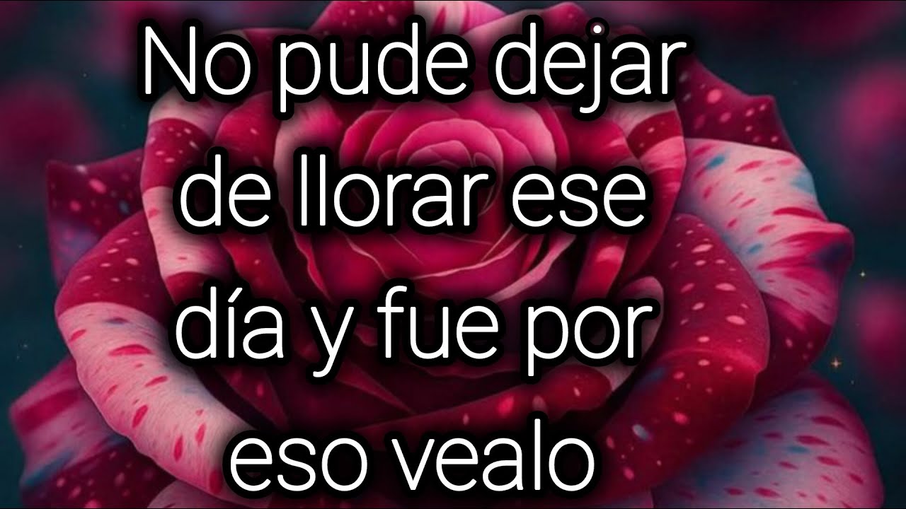 No pude dejar de llorar ese d&iacute;a