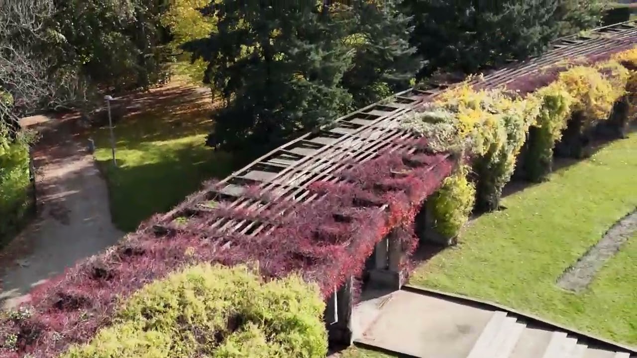 An autumn flight over Pergola in Wroclaw at the Centennial Hall