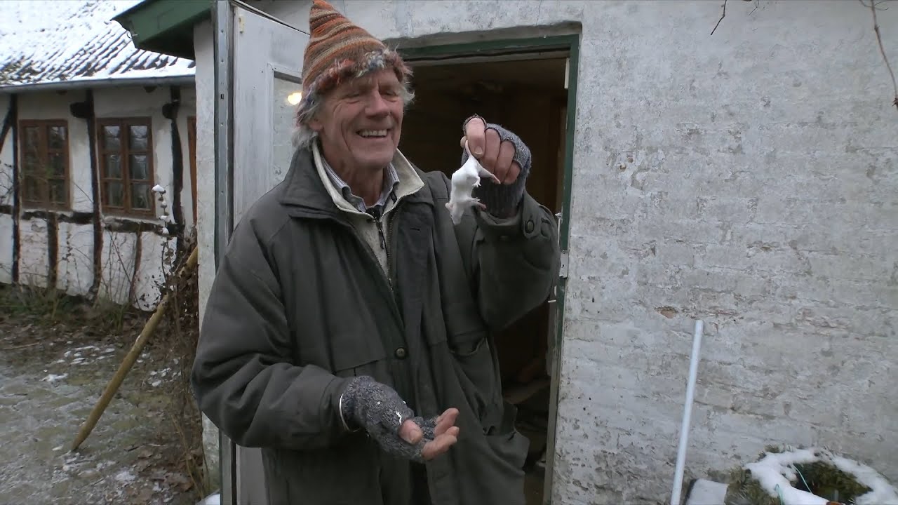 Jens har sit eget cirkus - men kunne ikke få hjælpepakke. Men så fandt han på en løsning