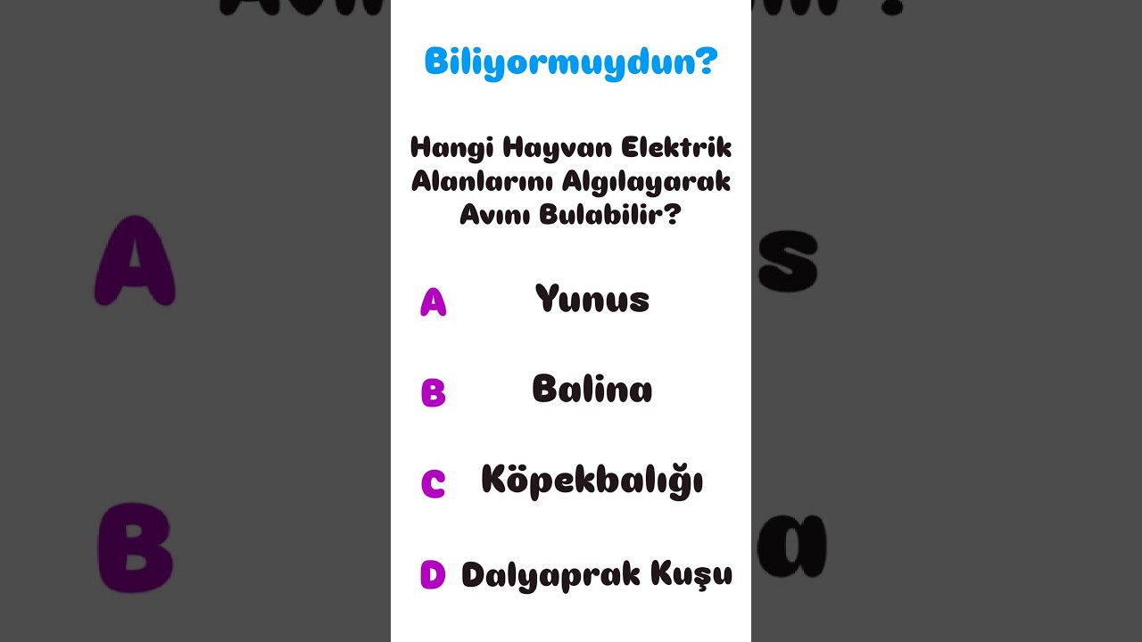 Allahınıııı Seven Bu Yayını Beğensin Acım!!!!