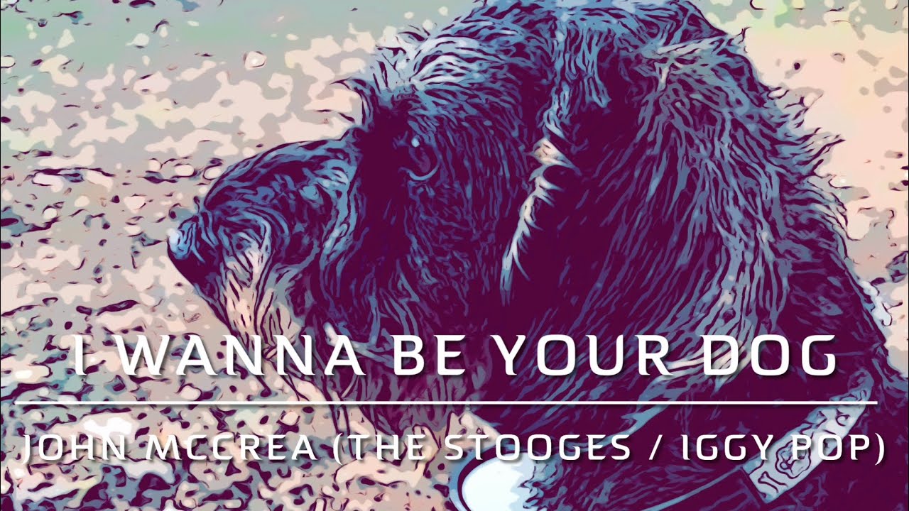 John McCrea - I Wanna Be Your Dog (The Stooges / Iggy Pop) bass cover