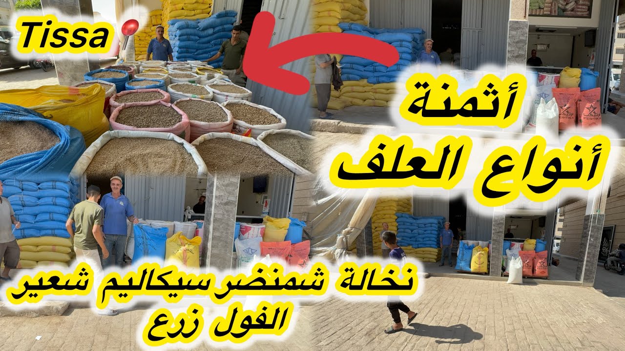 بغيت تعرف جميع أنواع أثمنة العلف نخالة شمنضر سيكاليم شعير والفول زرع 13/08/2025