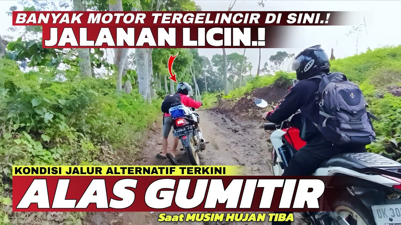 Banyak Kendaraan Tergelincir di Sini‼️Begini Kondisi Jalur Alternatif Alas Gumitir Saat Musim Hujan!