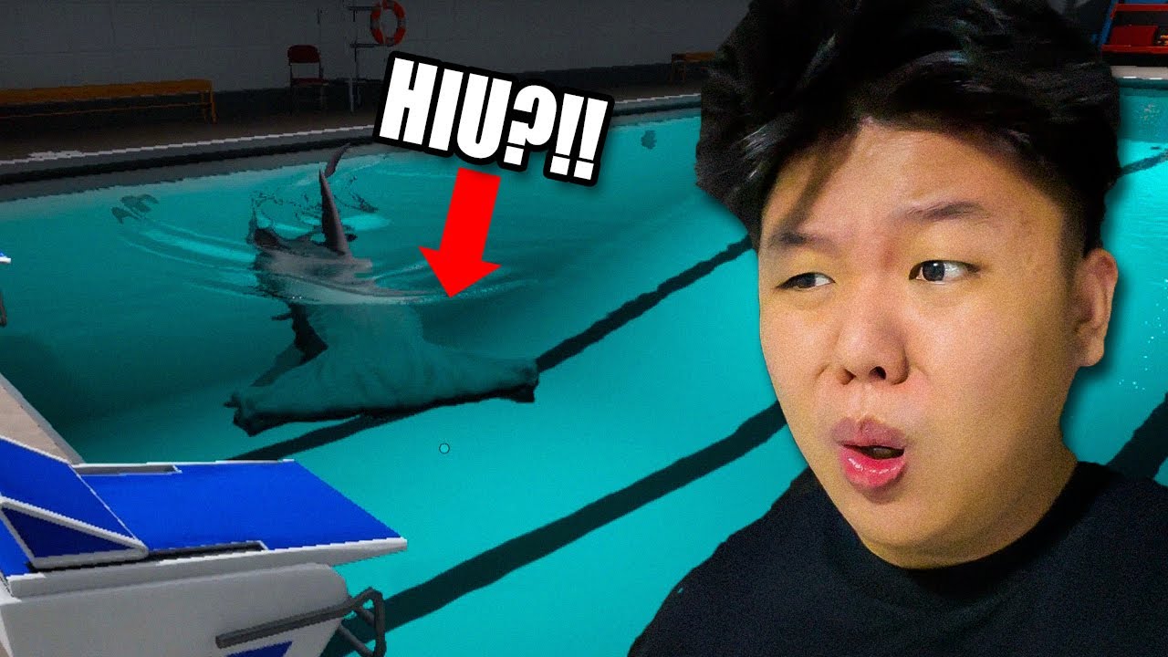 KOK BISA ADA IKAN HIU DI KOLAM BERENANG?!! Sharks and Minnows