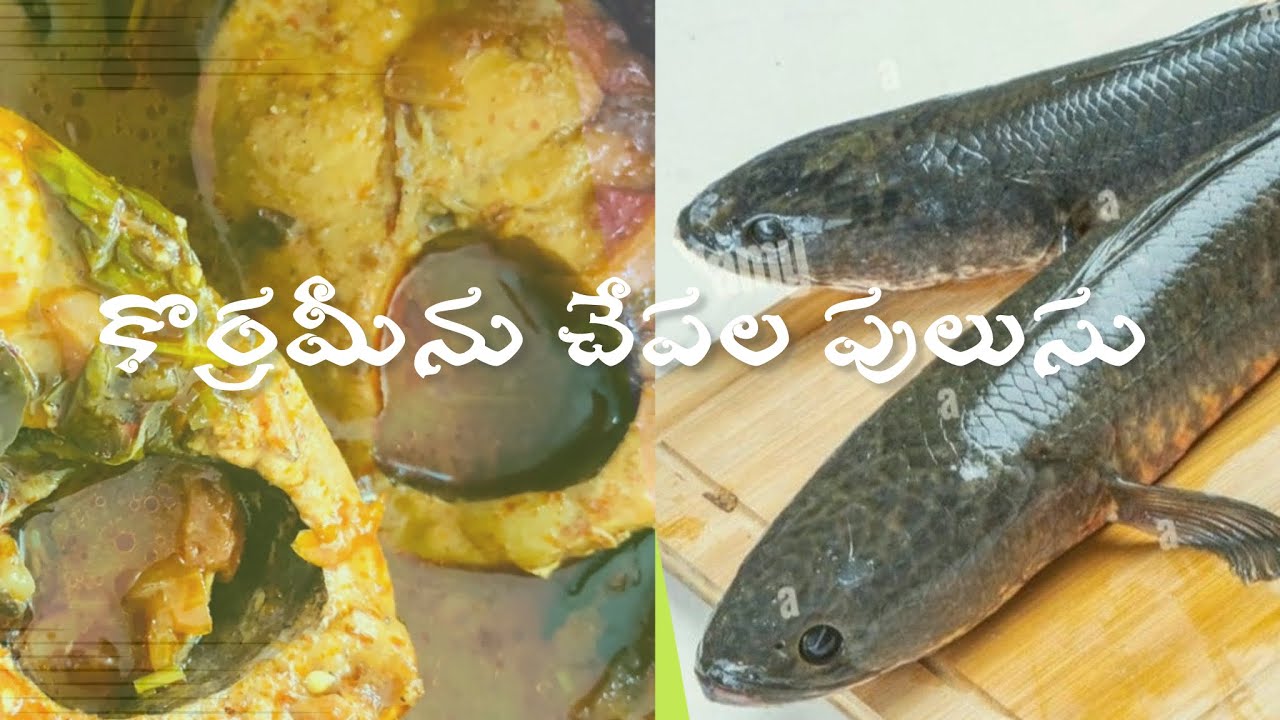 ఆంధ్ర స్టైల్ కొర్రమీను చేపల పులుసు 😍😍