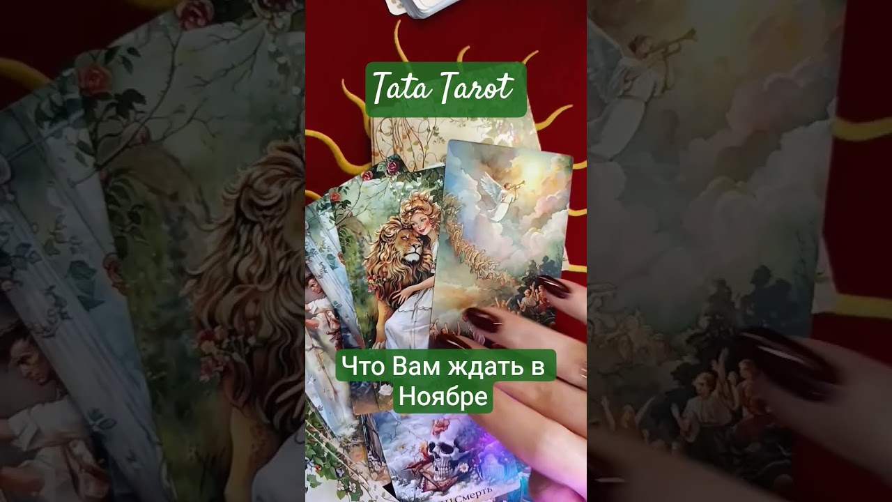 Что ждать в Ноябре 🍀 #эзотерика #талисмантаро #таро #tarot #таросила #таролог #обряды