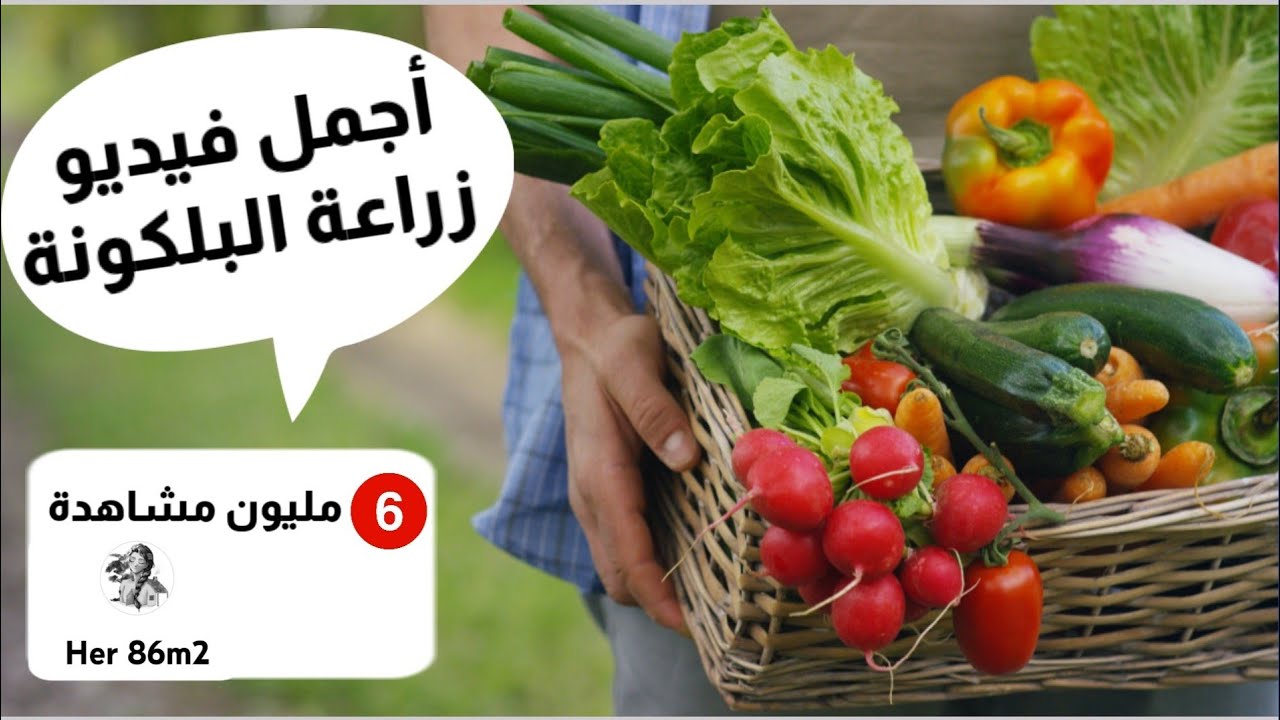 أجمل فيديو ممكن تراه لطريقة زراعة البلكونات و الشرفات. 6 ملايين مشاهدة. ردة فعل