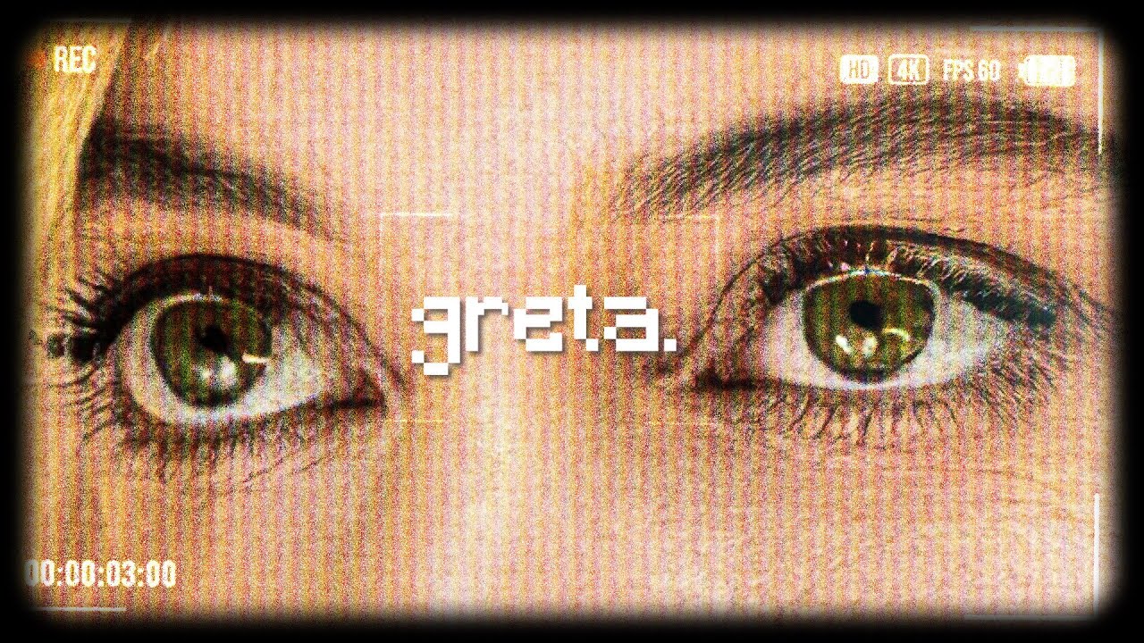 l'improbable vie de GRETA GERWIG