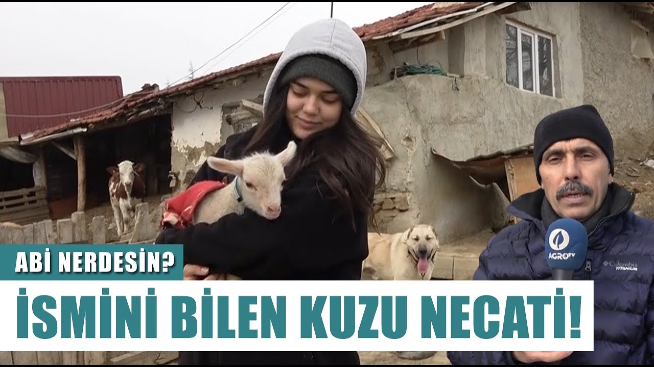 Sütçü Tezene Sema Mihaliç! İsmini Bilen Kuzu Necati! | Abi Nerdesin?