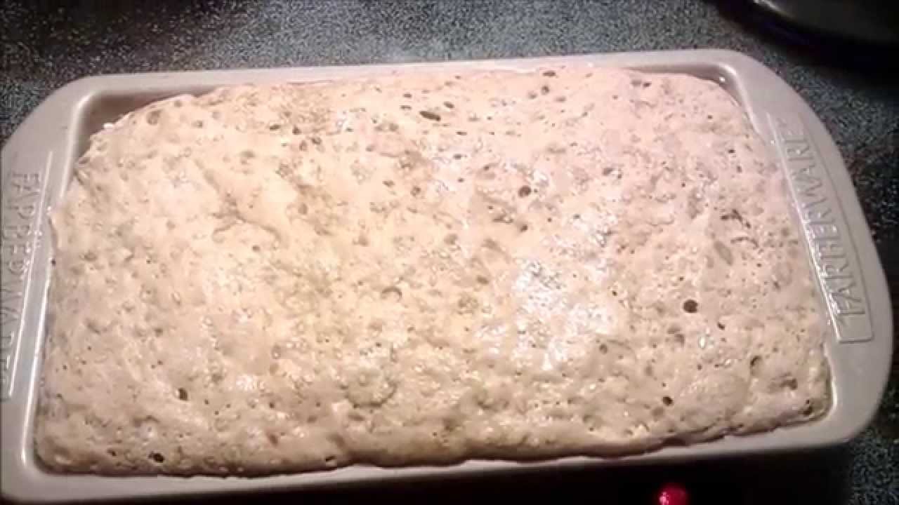 Easy to make Whole Wheat Bread