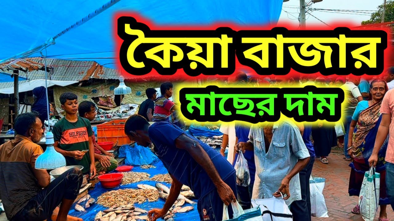 শহরের তুলনায় সস্তায় মাছ পাবেন এই হাটে ।।  কৈয়া বাজার, খুলনা ।