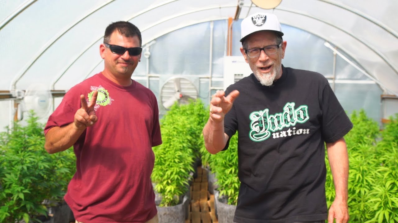 Kendo Farm's Heat Stress Protocol