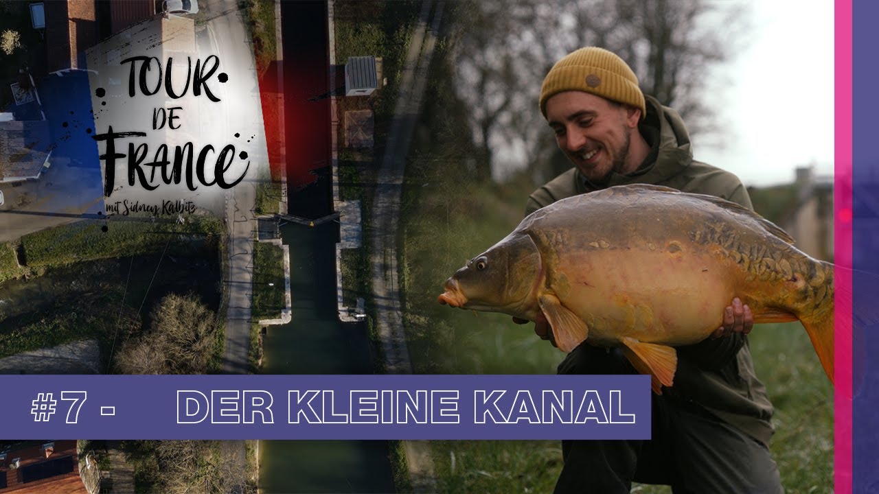 Karpfenangeln am Kanal - Tour de France #7  | 4K | Frankreich | Kanalangeln |