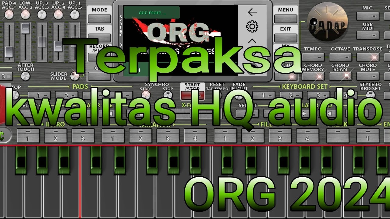 TERPAKSA _ ORG 2024 (music audio jernih)