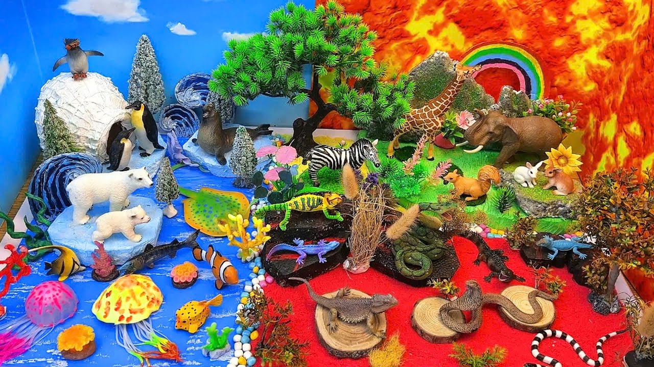 Explore Arctic, Ocean, Forest & Desert Animals 🌍❄️🌊🌳🌵 | DIY Animal Diorama for Kids