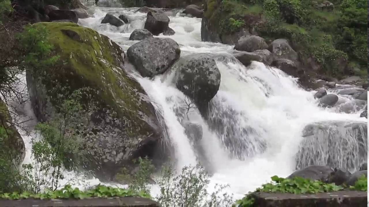 JOYANCO - Rio Pelayo - Guisando mayo 2016