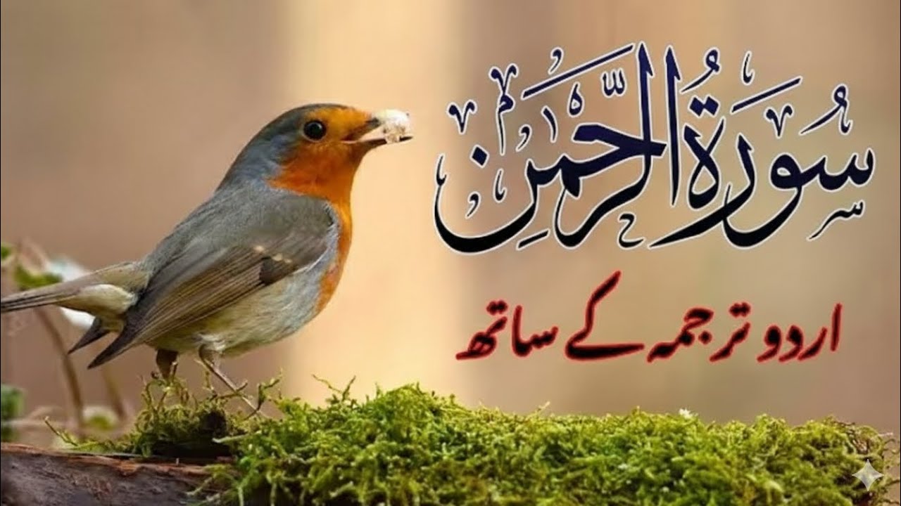 Surah Rahman With Urdu Translation |سورۃ الرحمن|| Beautiful Quran Tilawat || Adnan Sherani804