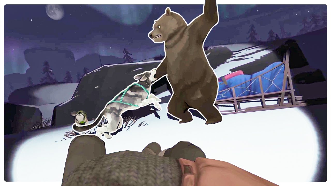DogSledding Through Grizzly Bear Territory - The Red Lantern