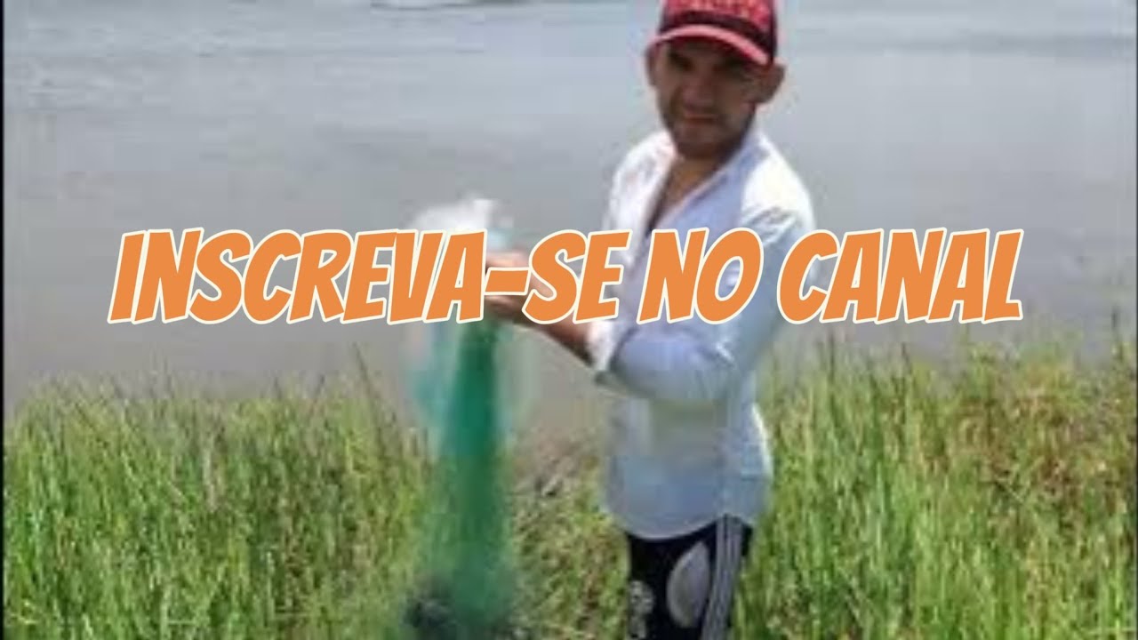 COMO JOGAR TARRAFA