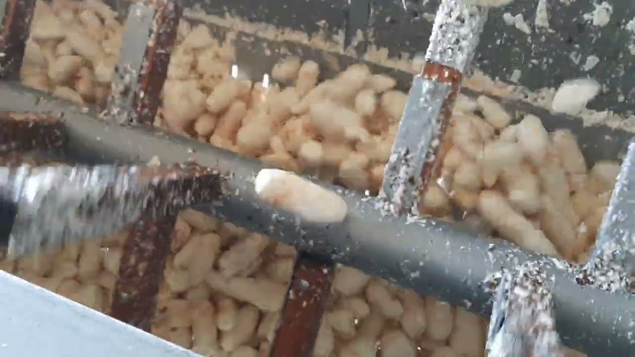 Descascador de Mandioca, de 2 metros, produção diária de 4+ toneladas.