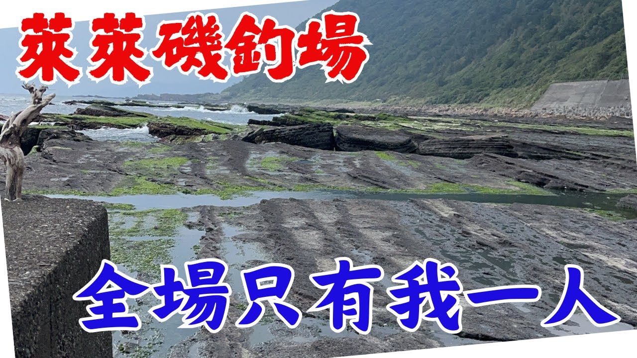 #藻餌磯釣#東北角#萊萊磯釣場#口太グレ