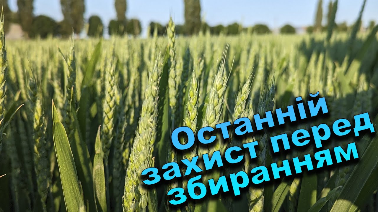 Останнє внесення фунгіцидів, інсектицидів, стимуляторів росту на озиму пшеницю