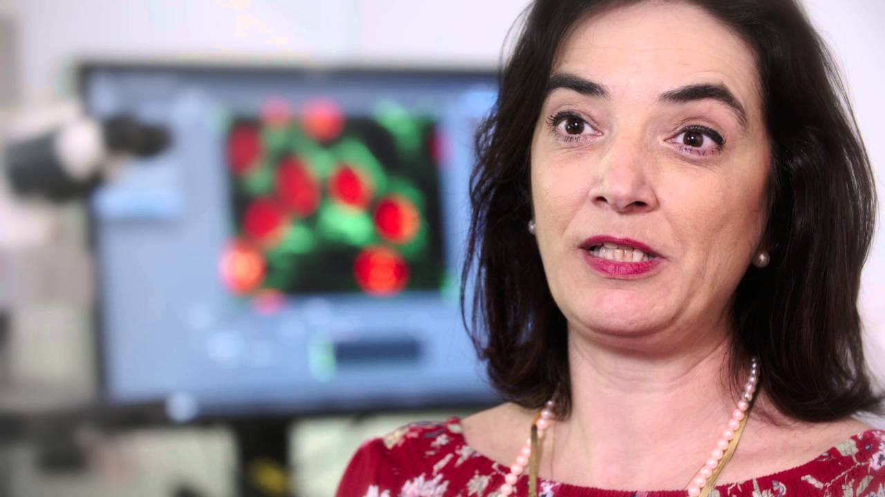 Elvira Fortunato, Rodrigo Martins - Paper transistors