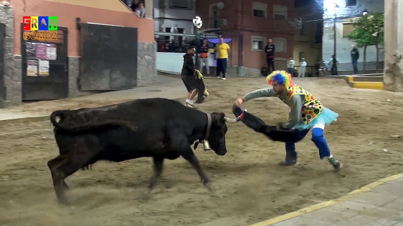 Vacas enfundadas Ivan Meseguer - Sueras (Castellón) 2023 Toros Fran Gomez Bous Al Carrer FJGNtv