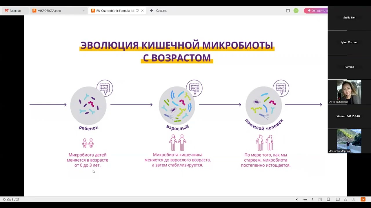 Как микрофлора кишечника влияет на все 12 систем организма. Зум с микробиологом - Дианой Даугавиете.