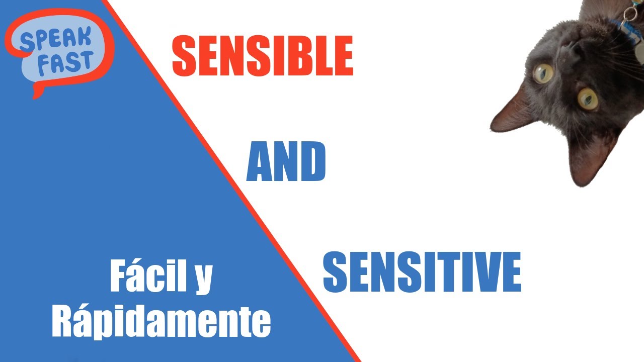 Sensitive y Sensible ¿Son iguales? ¿Son diferentes? ¿Cómo usarlos?