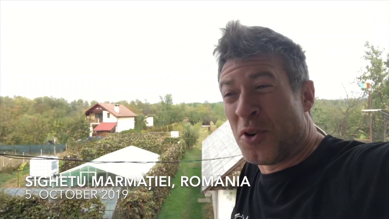 Romania Grape Harvest