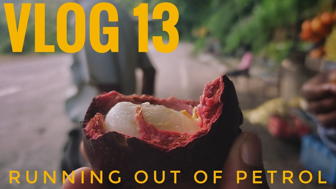 Running out of Petrol (Fuel) Vlog 13 #srilanka #petrol #gohomegota2022 #vlog