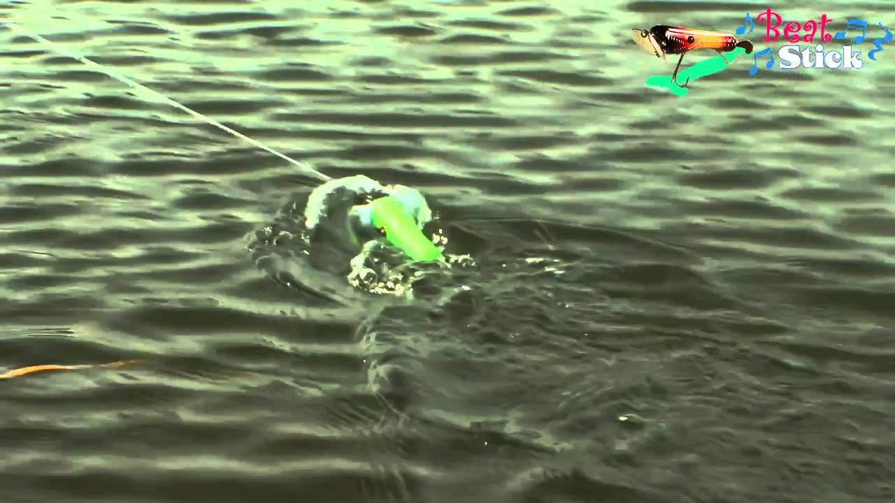 Tsunami Lures -Beat Stick-